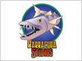 Barracuda Studio